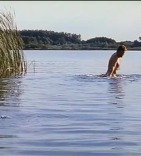 Image 1771453 from Idil Üner