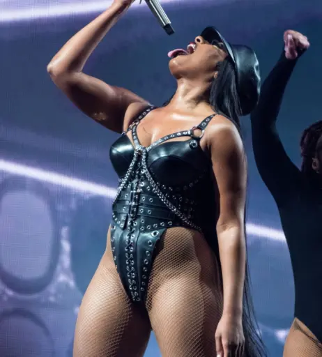 Image 1771445 from Megan thee stallion