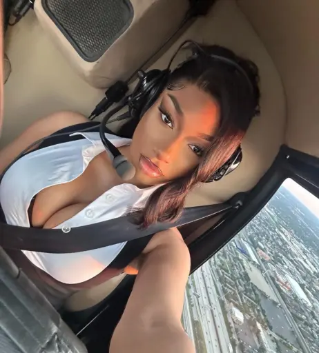 Image 1771795 from Megan thee stallion