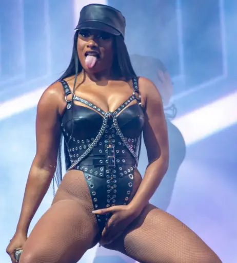 Image 1771603 from Megan thee stallion