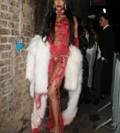 Image 1771065 from Jourdan Dunn