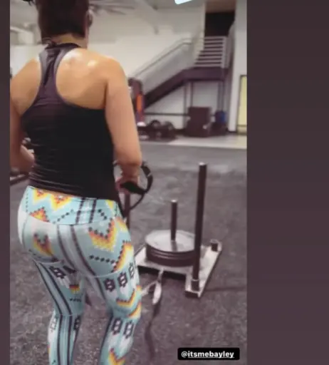 Image 1771004 from Bayley