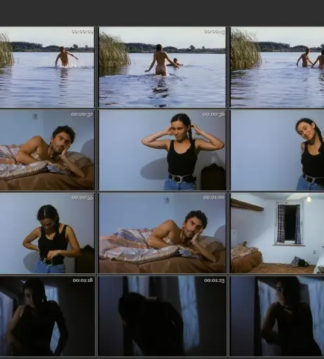 Image 1771381 from Idil Üner