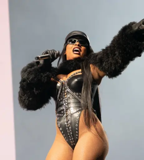 Image 1771285 from Megan thee stallion