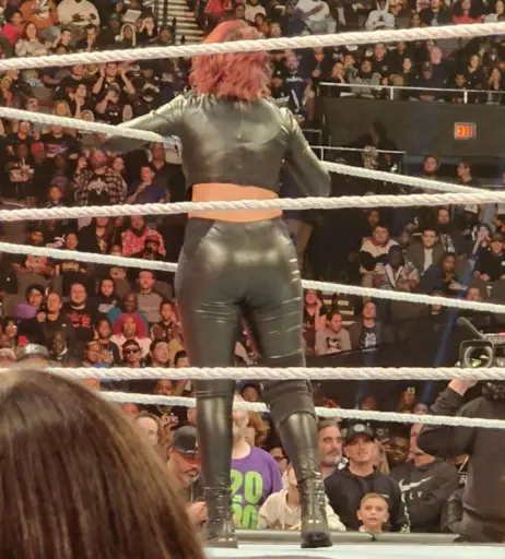 Image 1771245 from Bayley