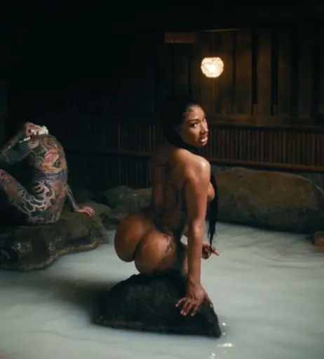 Image 1771210 from Megan thee stallion