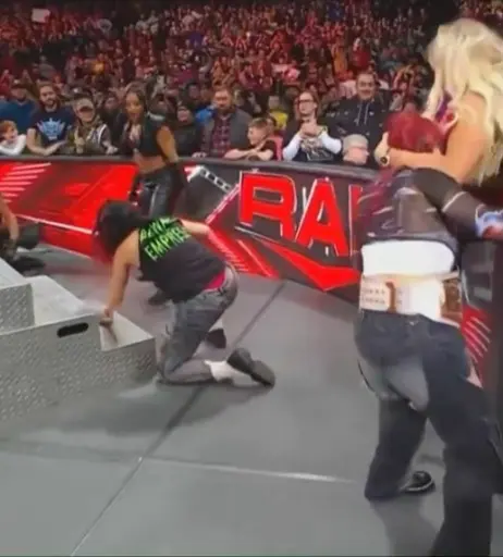 Image 1771217 from Bayley