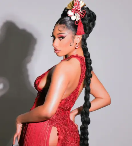 Image 1771999 from Megan thee stallion