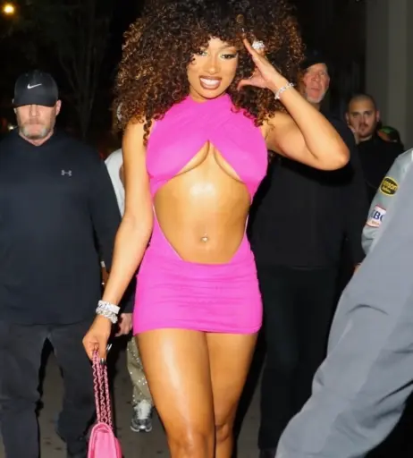 Image 1772465 from Megan thee stallion