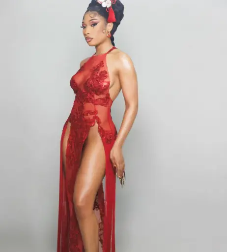 Image 1772063 from Megan thee stallion