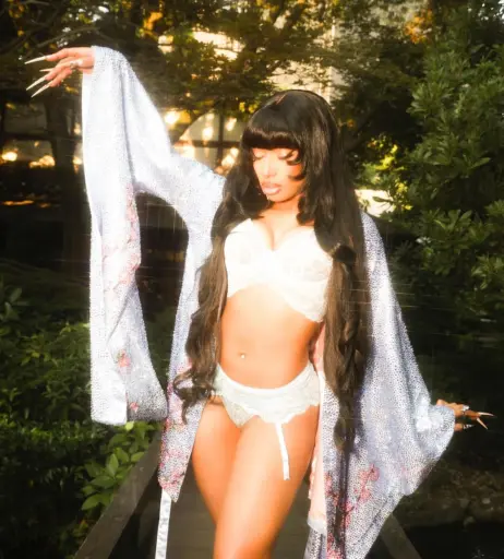 Image 1772327 from Megan thee stallion