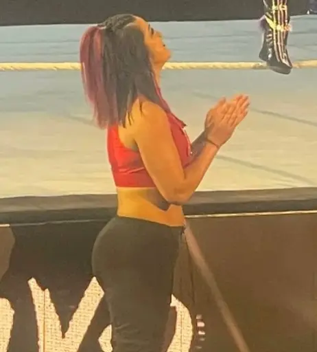 Image 1770507 from Bayley