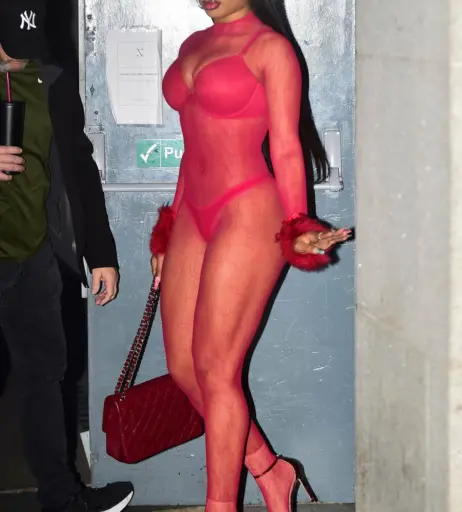 Image 1770740 from Megan thee stallion