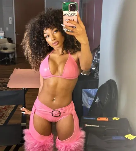 Image 1770180 from Megan thee stallion