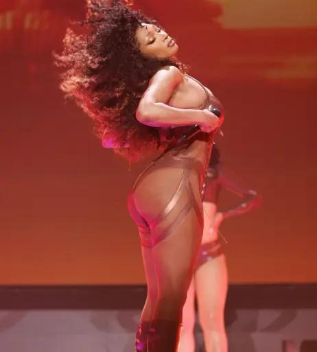 Image 1770085 from Megan thee stallion