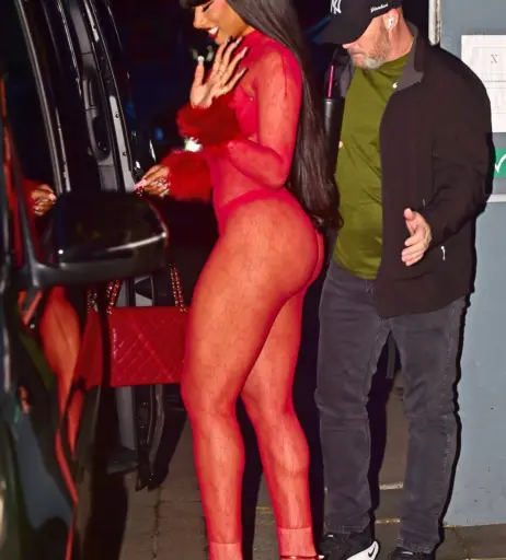 Image 1770312 from Megan thee stallion