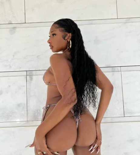 Image 1770262 from Megan thee stallion