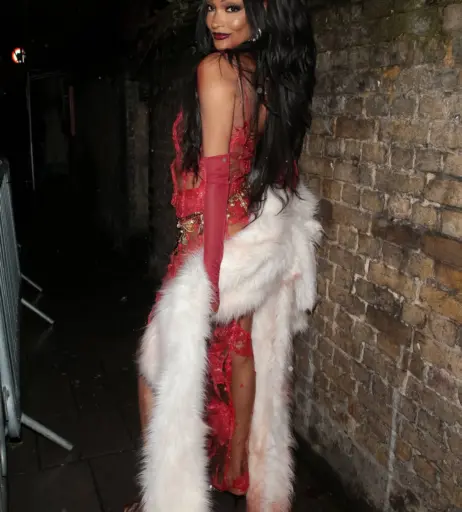 Image 1770964 from Jourdan Dunn