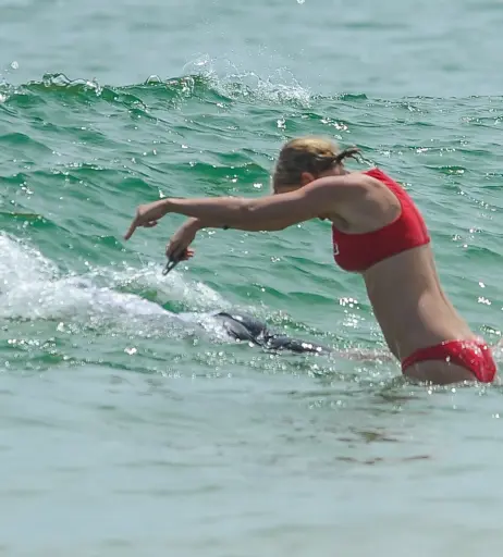 Image 1778053 from Taylor Swift