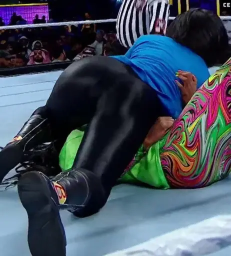 Image 1765588 from Bayley