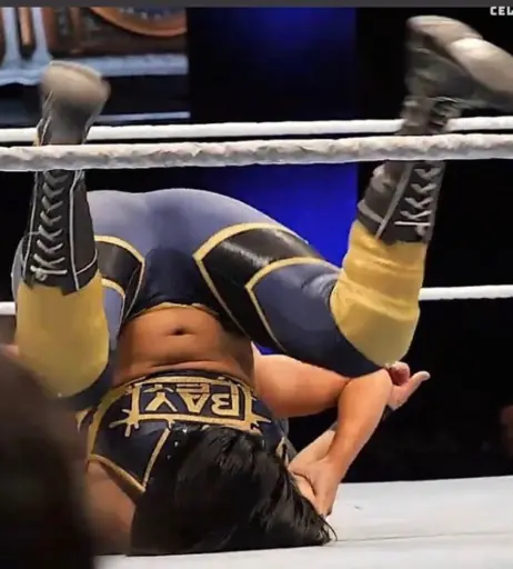 Image 1765609 from Bayley