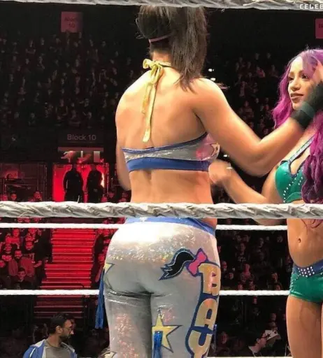 Image 1765220 from Bayley