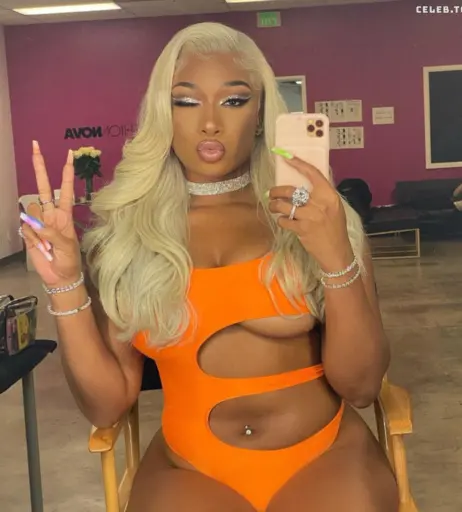 Image 1766874 from Megan thee stallion
