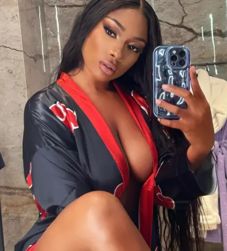 Image 1766580 from Megan thee stallion