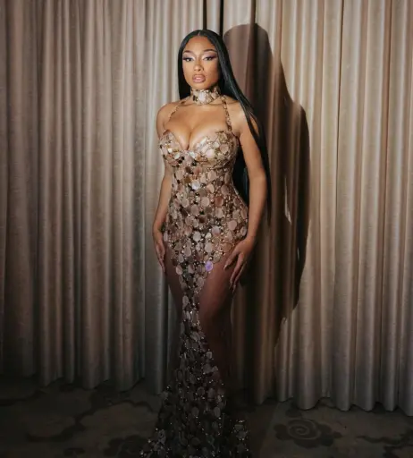 Image 1766465 from Megan thee stallion