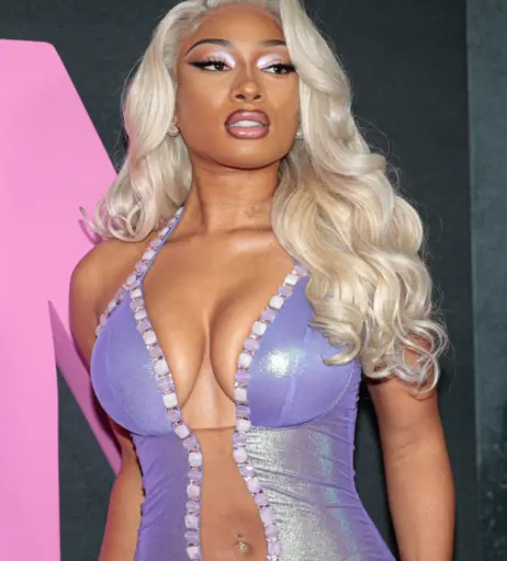 Image 1766987 from Megan thee stallion