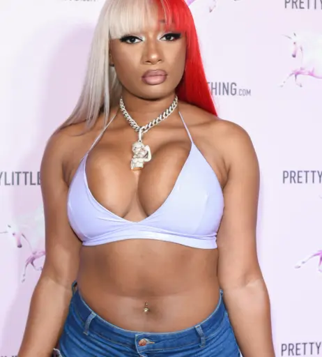 Image 1766949 from Megan thee stallion