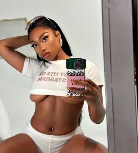 Image 1767401 from Megan thee stallion