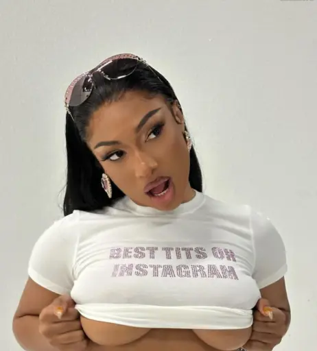 Image 1767322 from Megan thee stallion