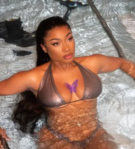 Image 1767234 from Megan thee stallion