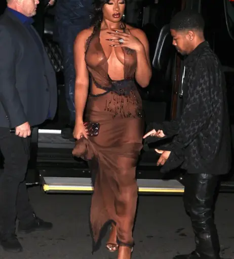 Image 1764151 from Megan thee stallion