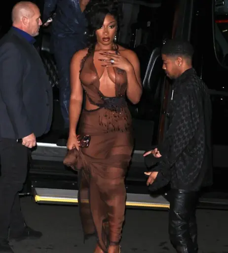 Image 1764113 from Megan thee stallion