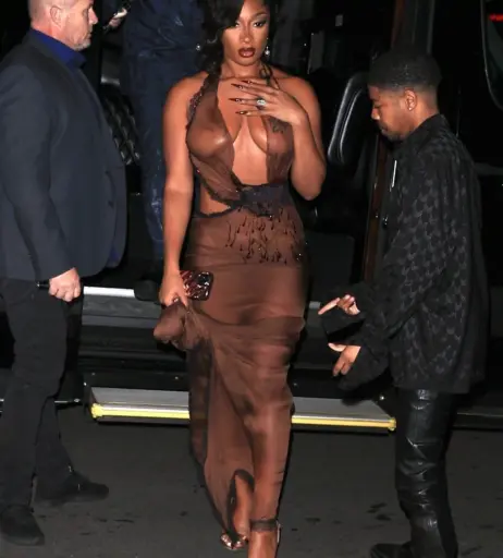 Image 1764137 from Megan thee stallion