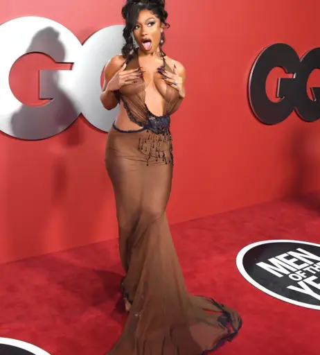 Image 1764967 from Megan thee stallion