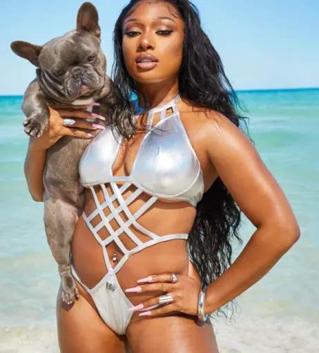 Image 1761425 from Megan thee stallion