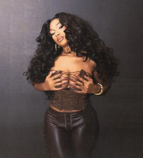 Image 1762884 from Megan thee stallion