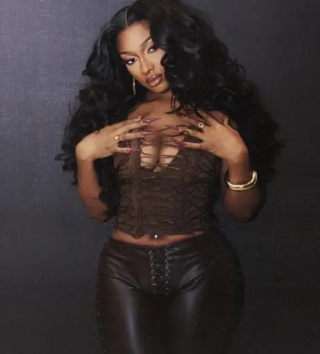 Image 1762868 from Megan thee stallion