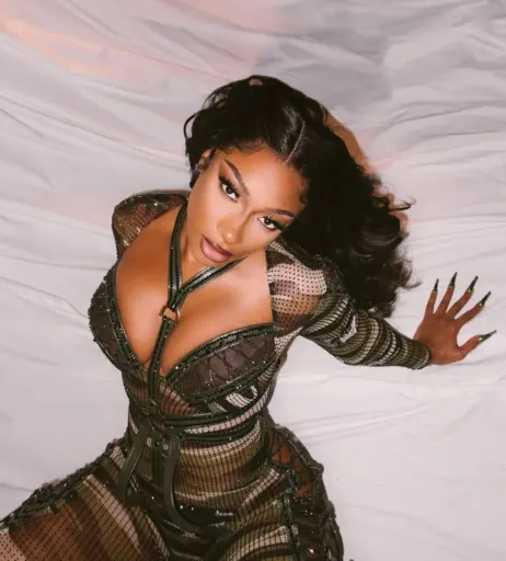 Image 1762822 from Megan thee stallion