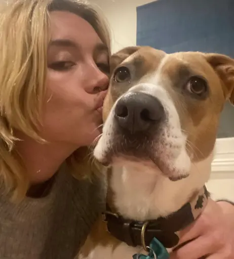 Image 1762520 from Florence Pugh