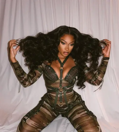 Image 1762757 from Megan thee stallion