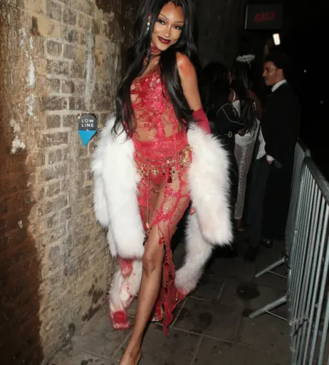 Image 1762743 from Jourdan Dunn