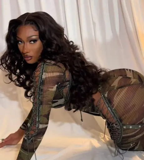 Image 1762717 from Megan thee stallion