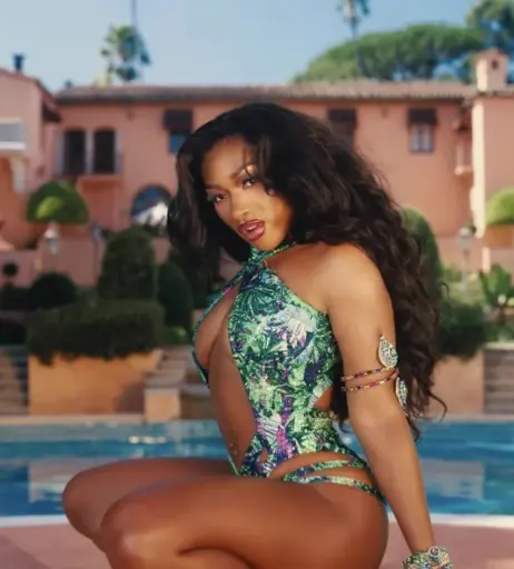 Image 1762682 from Megan thee stallion