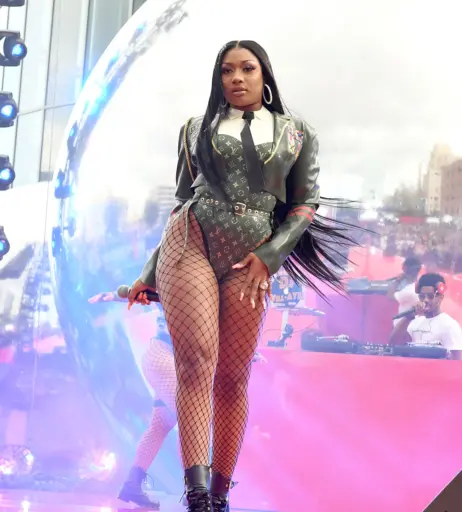 Image 1762611 from Megan thee stallion