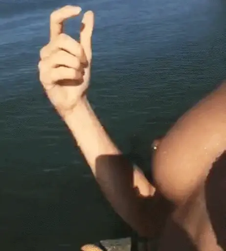 Image 1762119 from Shailene Woodley