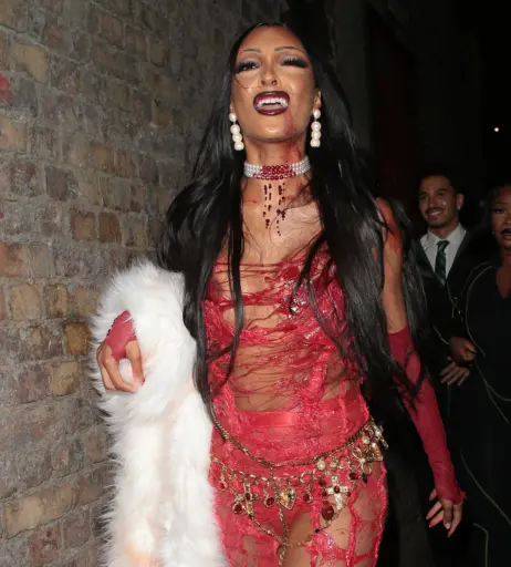 Image 1762351 from Jourdan Dunn